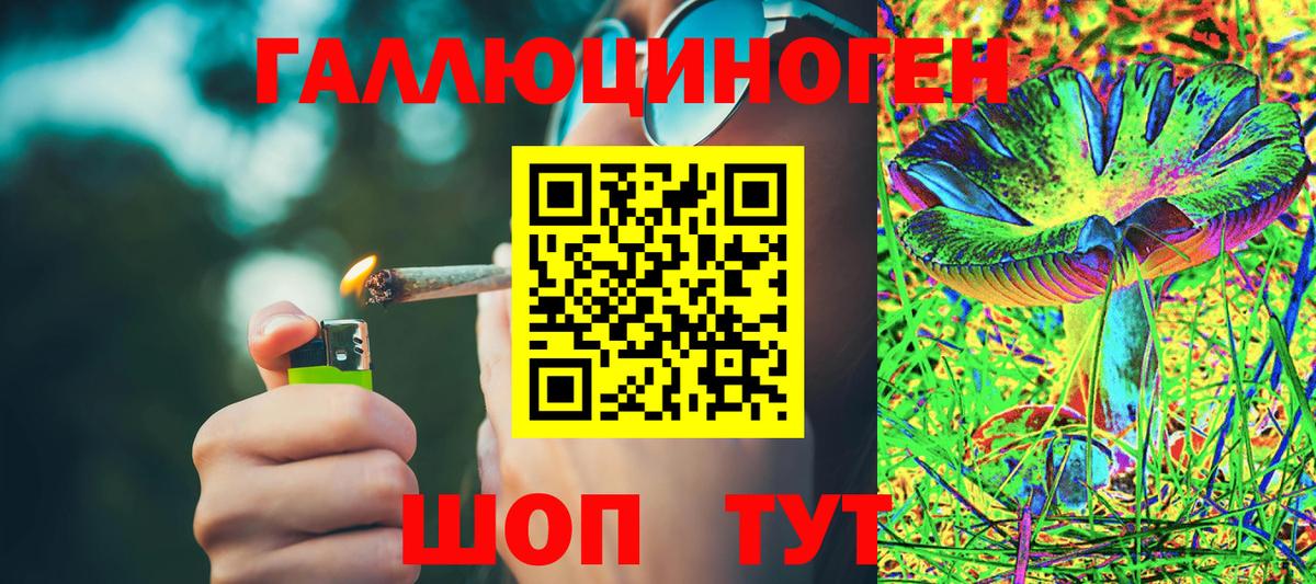 Псилоцибиновые грибы Psilocybe  Вход с VPN  Нальчик  Галлюциногенные грибы мицелий 