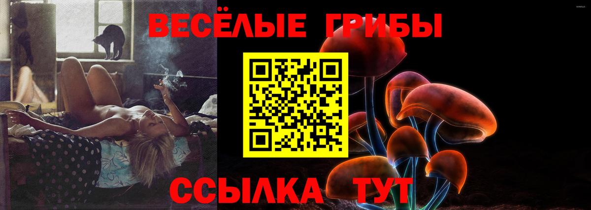 Псилоцибиновые грибы прущие грибы Нальчик